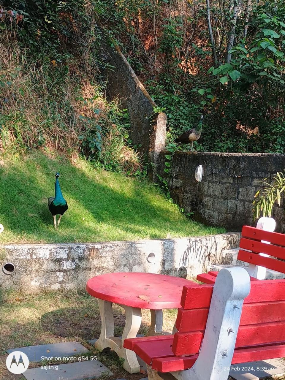 Vip Garden Resort Варкала Экстерьер фото